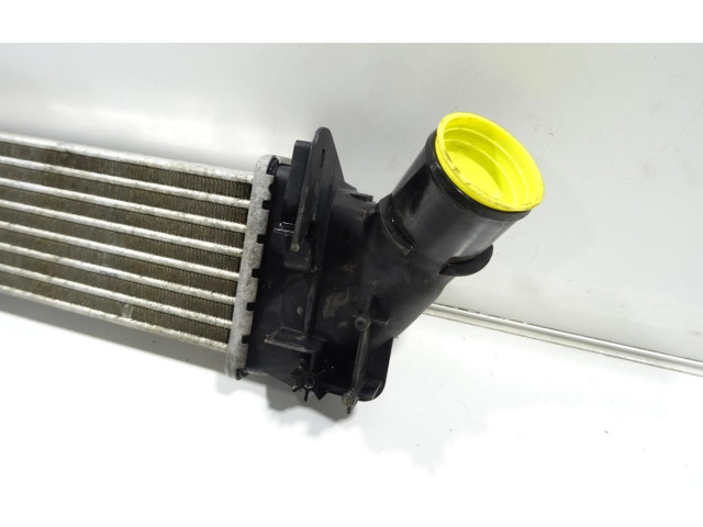 Интеркулер 6001548727 Dacia Logan I