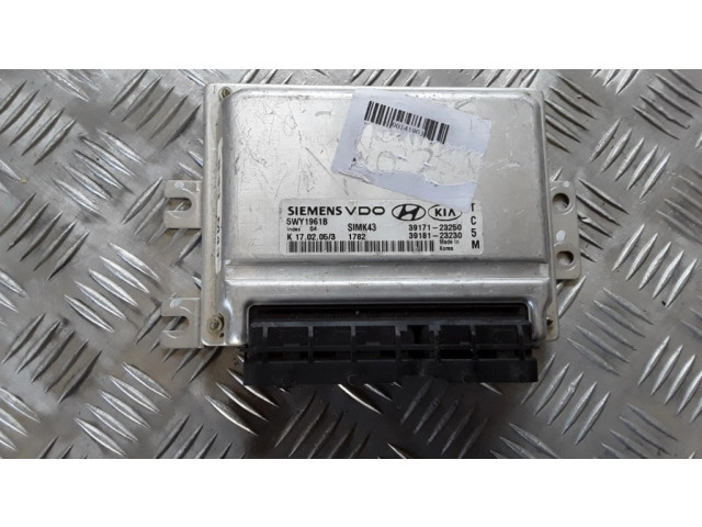 Řídící jednotka 5WY1961B, 3917123250   Hyundai Tucson JM 2005