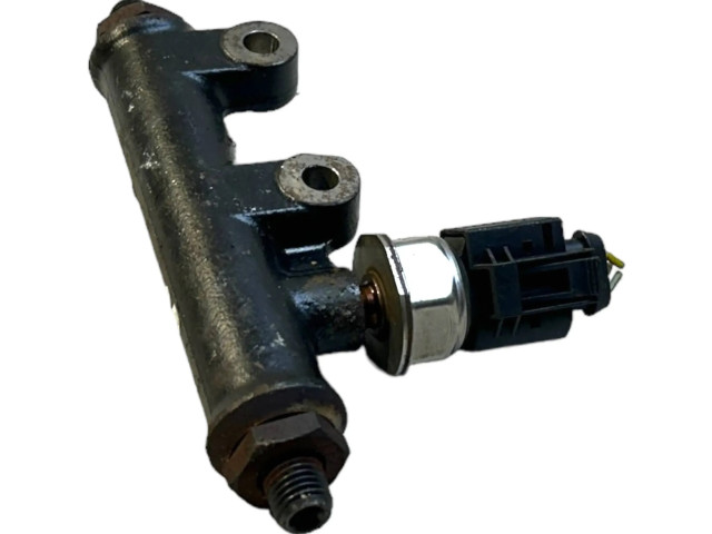 Топливная рампа 4R8Q9C066AE, 5WS40128 Jaguar S-Type 2.7