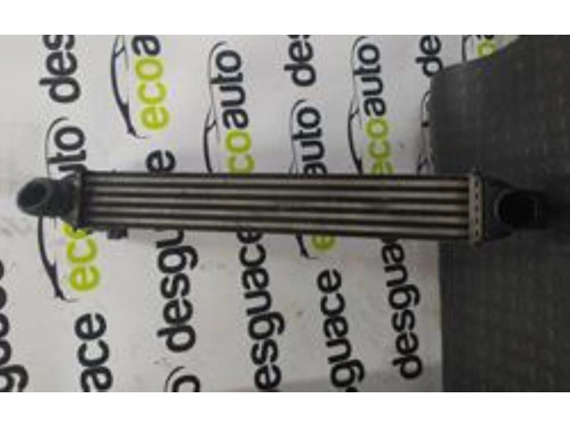 Интеркулер     Citroen C5 