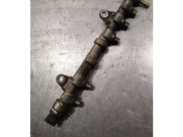 Vstřikovací lišta 0445214239, 55232355 Fiat Punto (199) 199B4000