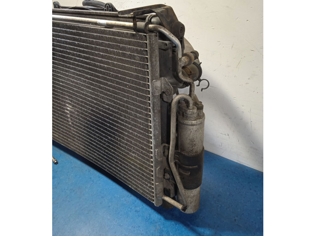 Интеркулер     Renault Clio II 