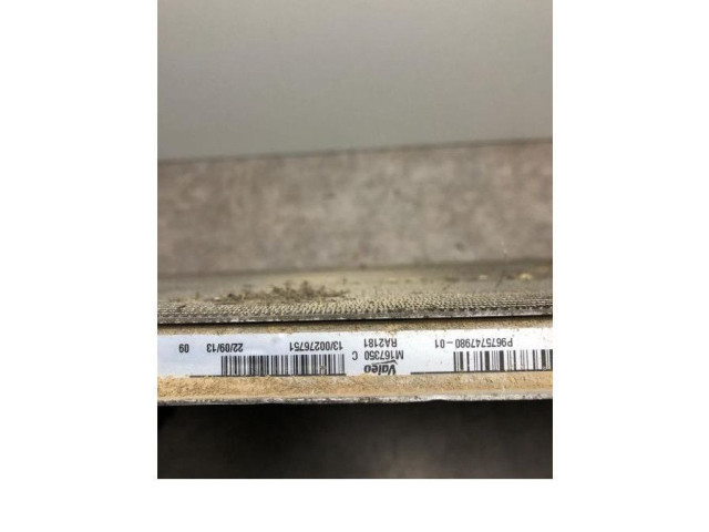 Комплект вентиляторов     9675747980, 9675747980    Citroen C4 II Picasso 