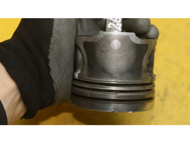 Поршень Renault Clio III
