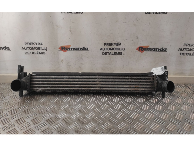 Интеркулер  R4642004, R4642004   Seat Ibiza IV (6J,6P) 