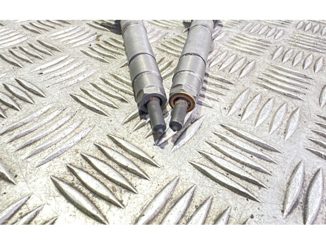 Комплект форсунок A6400700787, 0445110 Mercedes-Benz A W169