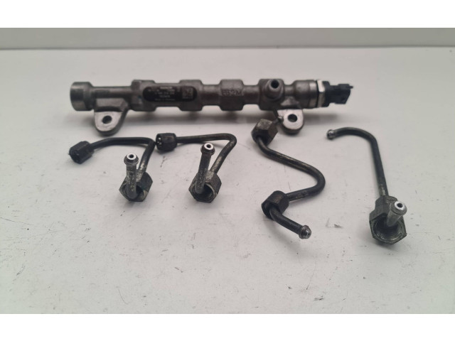 Топливная рампа 55234039, 324089 Fiat Freemont для двигателя 939B5000