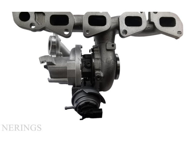  Турбина Audi TT TTS RS Mk3 8S  821866-0009, TC10-0010T         