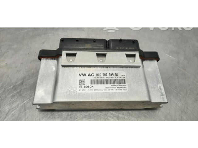 Блок управления двигателя 04C907309, 04C907309BJ Skoda Fabia Mk3 (NJ)