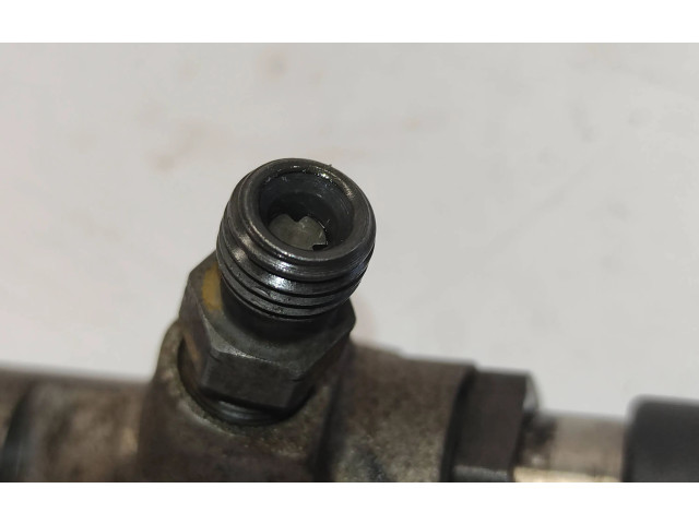 Vstřikovač 8200380253, 51191 Nissan Qashqai