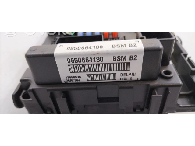 Pojistková skříňka Řídící jednotka BSM 1650882680 Peugeot 206 2004