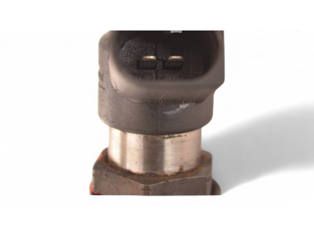 Форсунка AV6Q9F593AD, REAV6Q9F593AD    Ford Transit -  Tourneo Connect  TZGA TZGB 