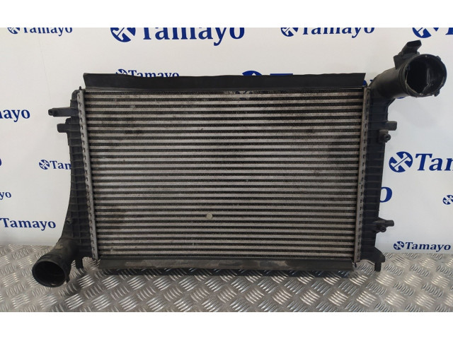 Интеркулер     Volkswagen Passat Alltrack 