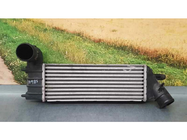 Интеркулер Citroen C8