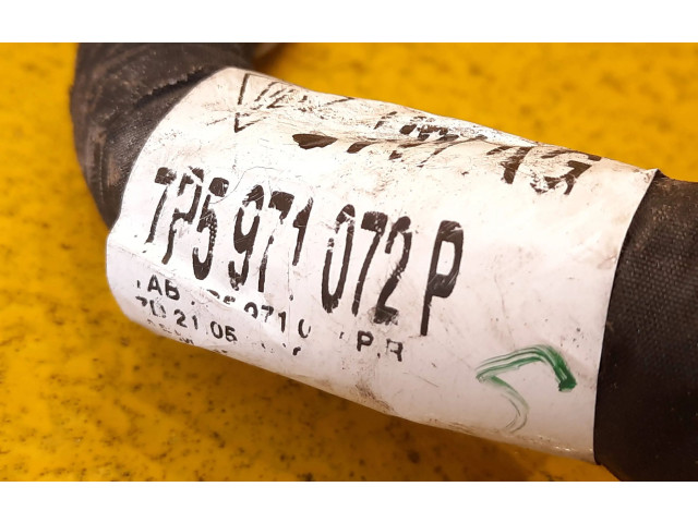 Pojistková skříňka 7P5971072P Porsche Cayenne (9PA) 2011