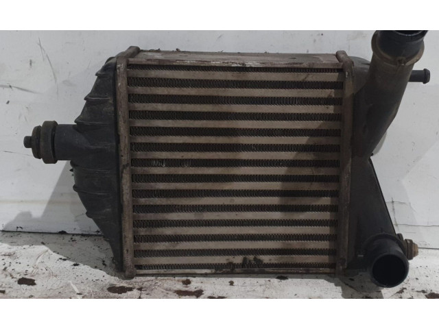 Интеркулер     Fiat Punto (188) 