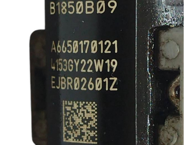 Форсунка A6650170121, 48B17395 SsangYong Rexton I D27DT