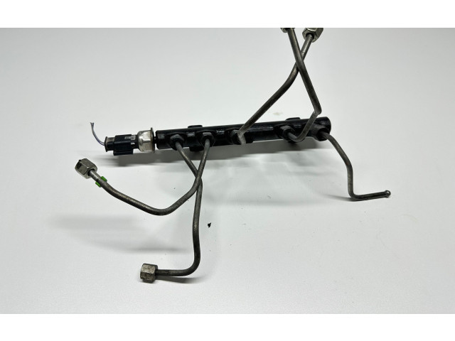 Топливная рампа 9684753080, 103423181 Citroen C4 I Picasso