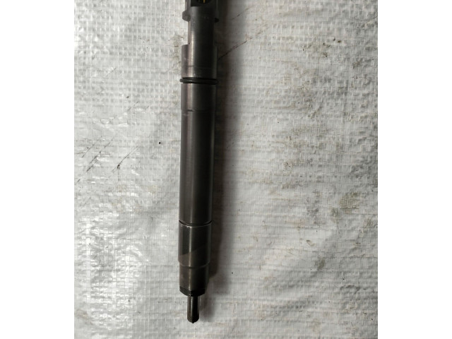 Форсунка EMBR00301D    SsangYong Rexton   