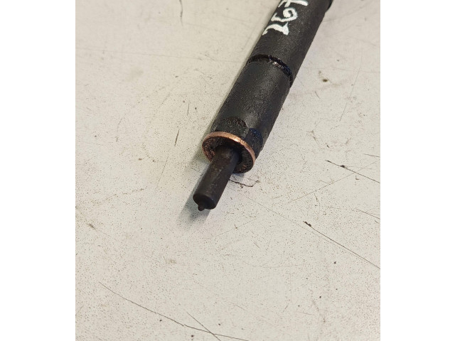 Форсунка 0445110297    Peugeot 5008   