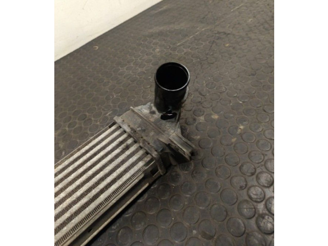 Интеркулер Dacia Logan I