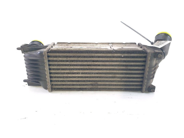 Интеркулер  384G9, V1-0129B   Citroen C5 