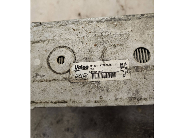 Интеркулер 9648551880, 1876923J Citroen C4 I