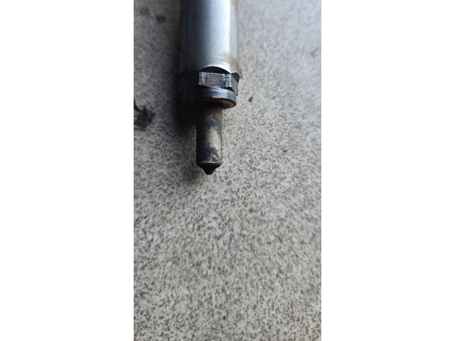 Vstřikovač 166009445R, H8200294788 Nissan Qashqai