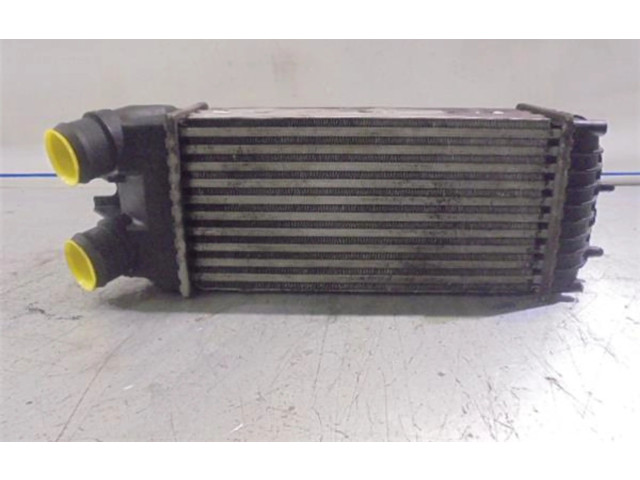 Интеркулер 9645965180, 874964GJ Citroen Xsara Picasso