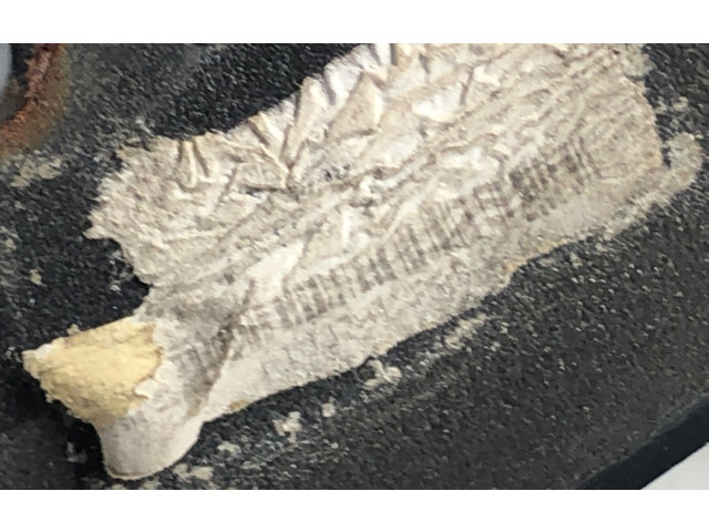 Зеркало электрическое        Jeep Grand Cherokee (WK)  2005 - 2010 года   