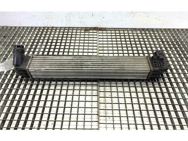 Интеркулер  8200880552B   Dacia Duster II 