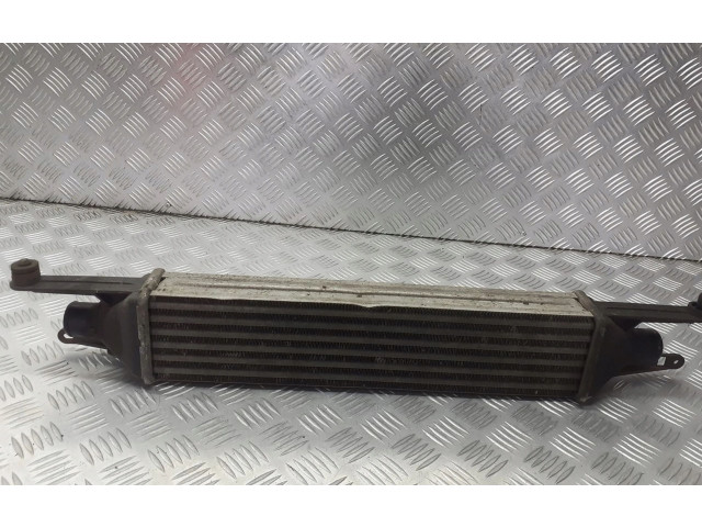 Интеркулер     Fiat Punto (188) 