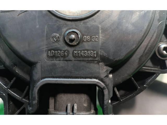 Комплект жиклеров (форсунок)    M143131, M143131   Peugeot 207