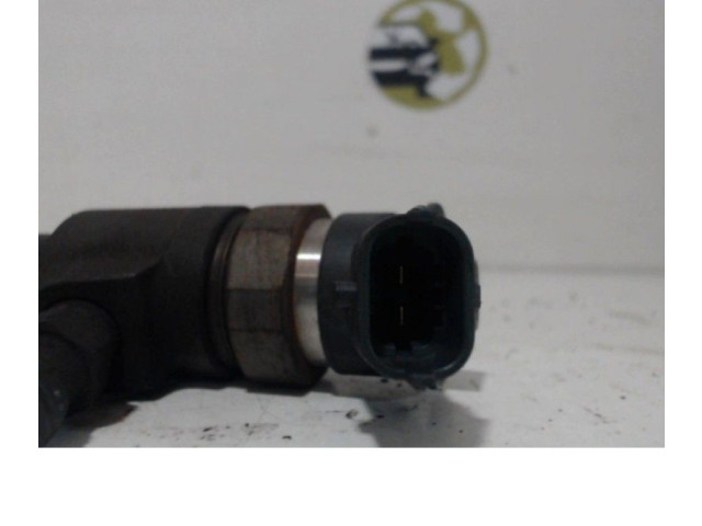 Vstřikovač Citroen C3