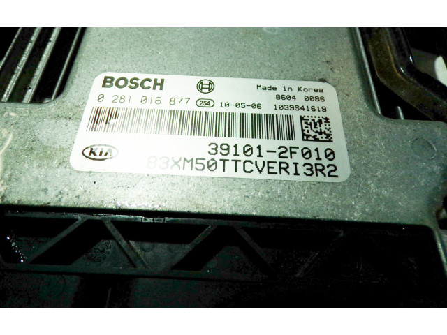 Блок управления двигателя 391012F010, 391162F010   KIA Sorento