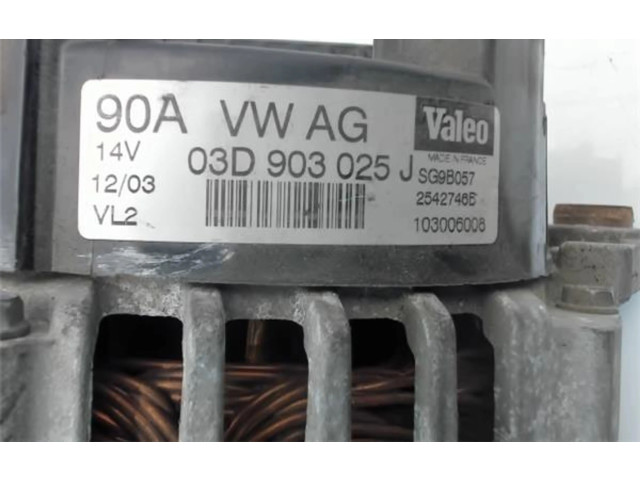 Насос усилителя руля 03D903025J, 103006006 Seat Inca (6k)