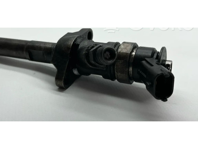 Форсунка 0445110, 0120207001315 Citroen Berlingo