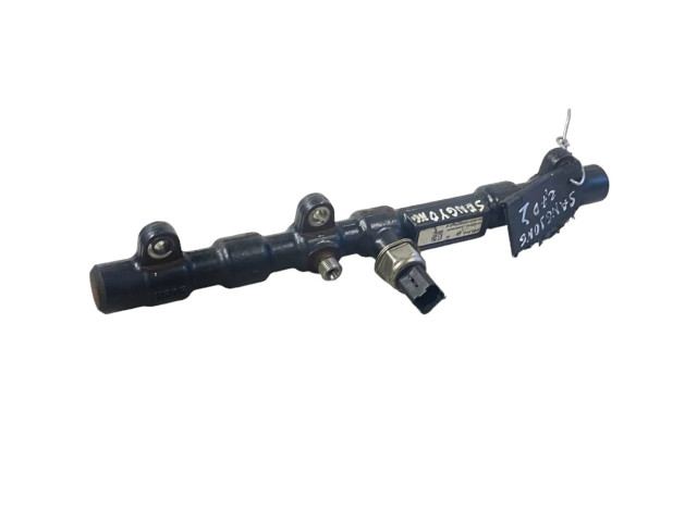 Топливная рампа A6650700295, R9145Z010C   SsangYong Rexton  