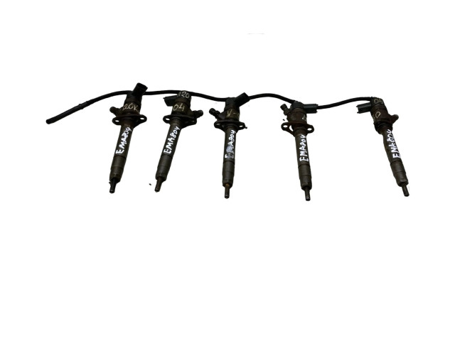 Комплект форсунок 0445110078, 8658351    Volvo V70   