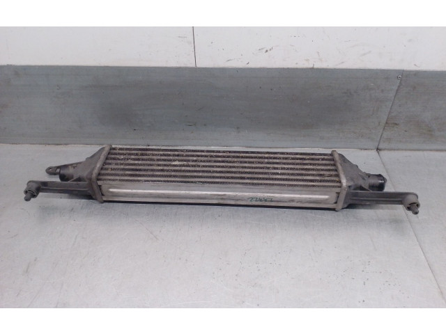 Интеркулер 55700449, 55700449 Fiat Grande Punto