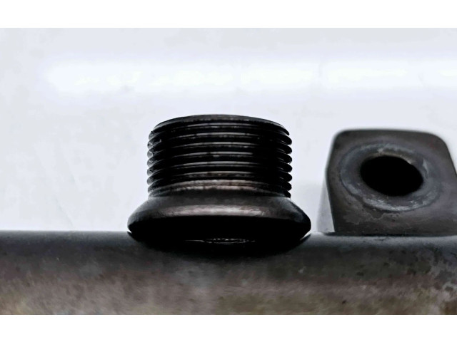 Топливная рампа 175216420R   Renault Megane III  