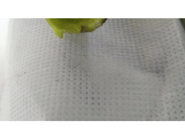 Подушка безопасности в сиденье 7394030061 Lexus GS 250 350 300H 450H