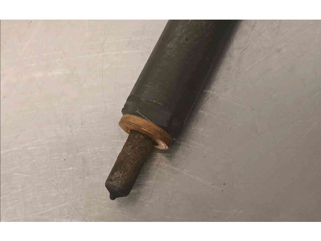 Форсунка 166000897R    Renault Clio III   