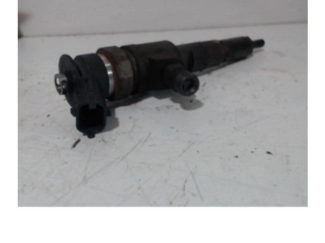 Vstřikovač Citroen C3