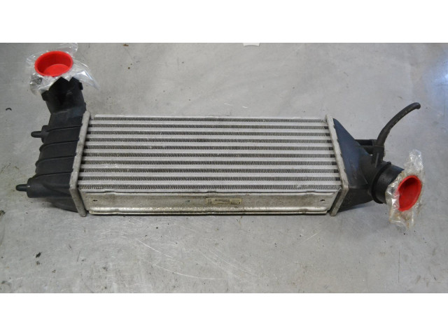 Интеркулер     Citroen C8 