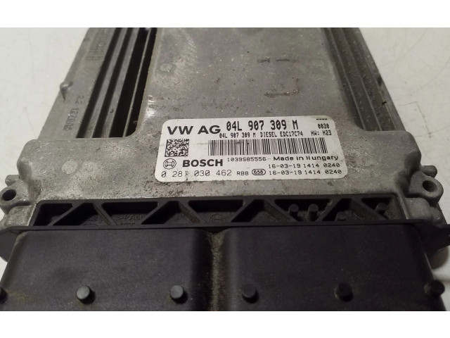 Řídící jednotka 04L907309M, 0281030462 Volkswagen Tiguan 2017