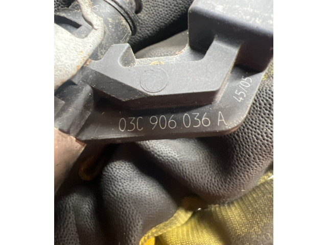 Форсунка 03C906036A Volkswagen Golf Plus