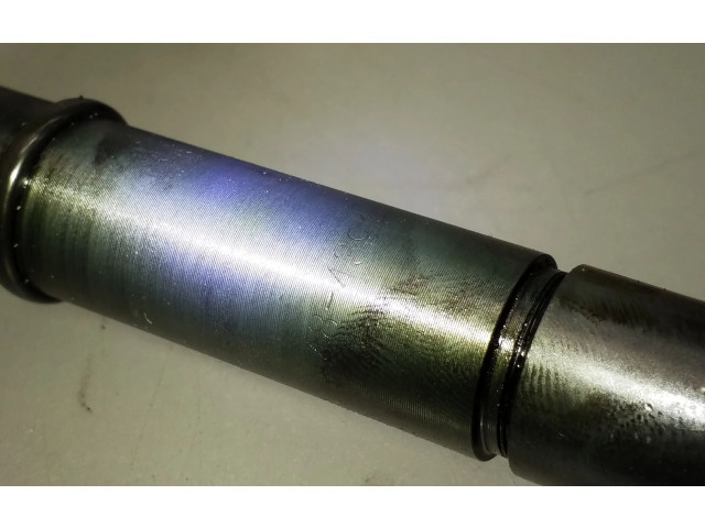 Vstřikovač 484391 Nissan Almera N16