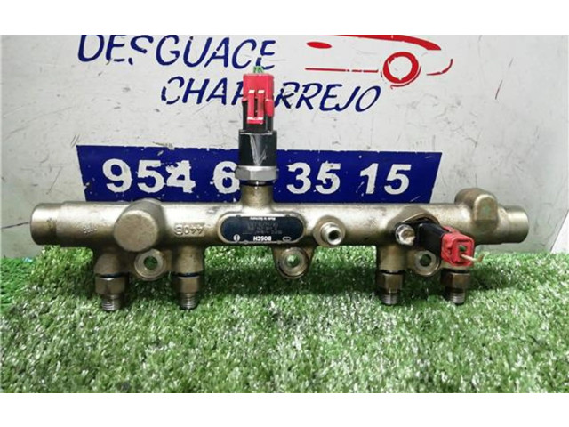 Топливная рампа 0445214010, 0445214010 Citroen Xsara для двигателя DW10TD(RHY)