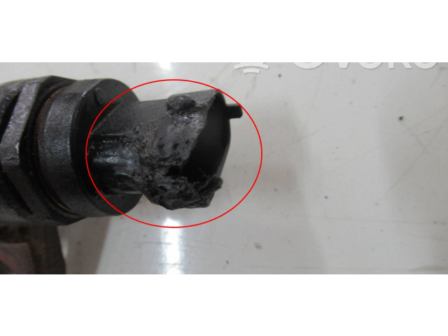 Топливная рампа 55234039, 616671 Fiat Freemont для двигателя 939B5000